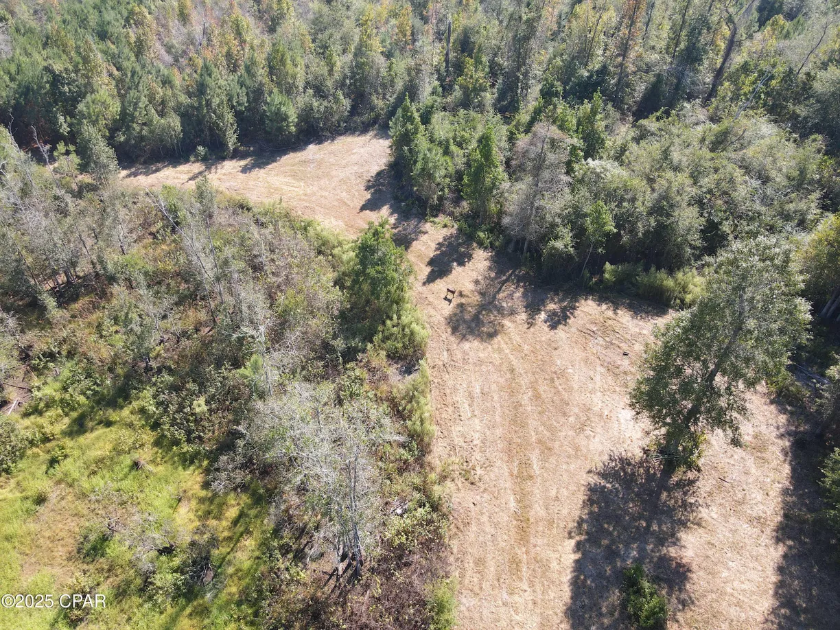 0 Brushey Pond Road, Grand Ridge, FL 32442 Property for sale
