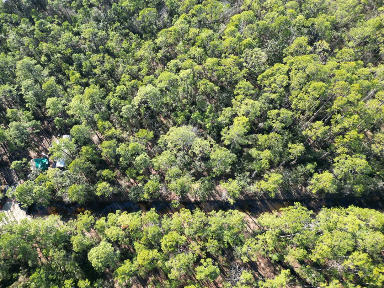 Northwest Florida Real Estate | View LOTS 7,8,9 N 16TH Street | Listing