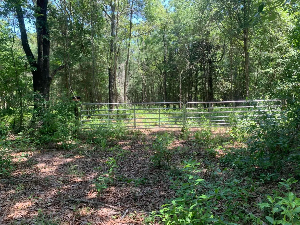 Northwest Florida Real Estate | View 0 FL-81 | Listing