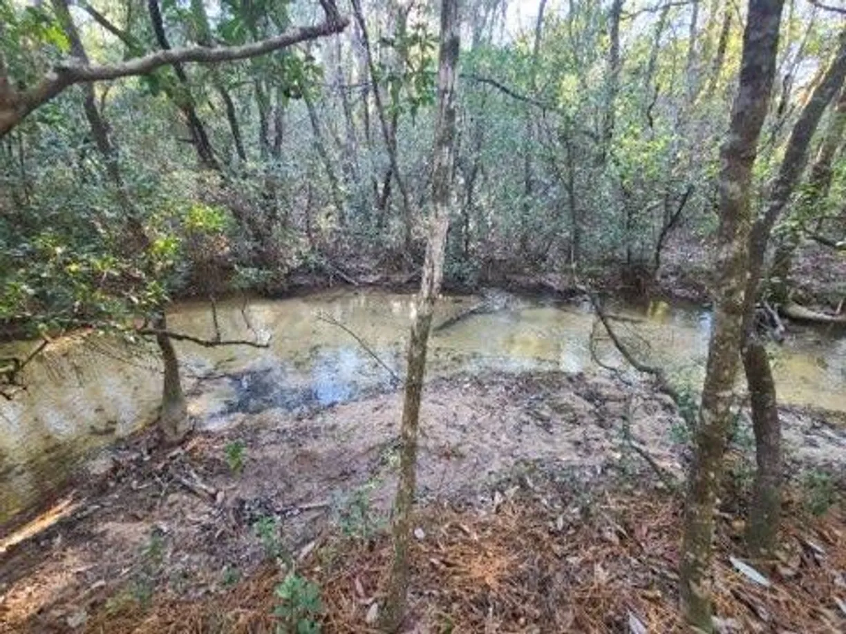 Northwest Florida Real Estate | View 4 Ac Seven Oaks Road | Listing