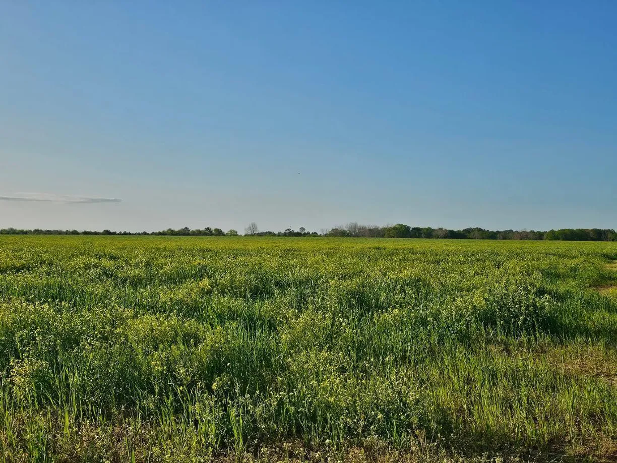 Northwest Florida Real Estate | View 190 acres CO HWY 2A