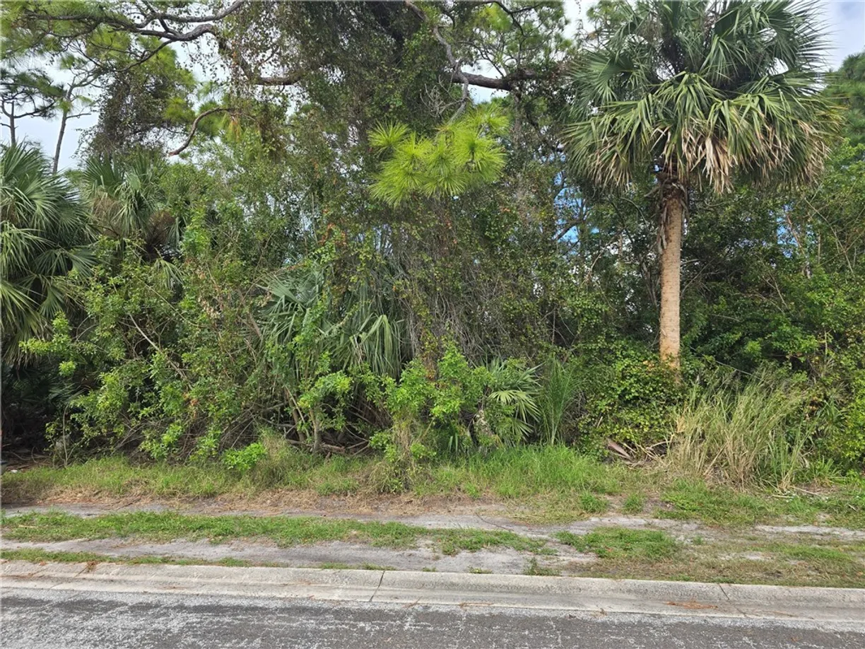 South Florida Real Estate | View 123 Cardinal