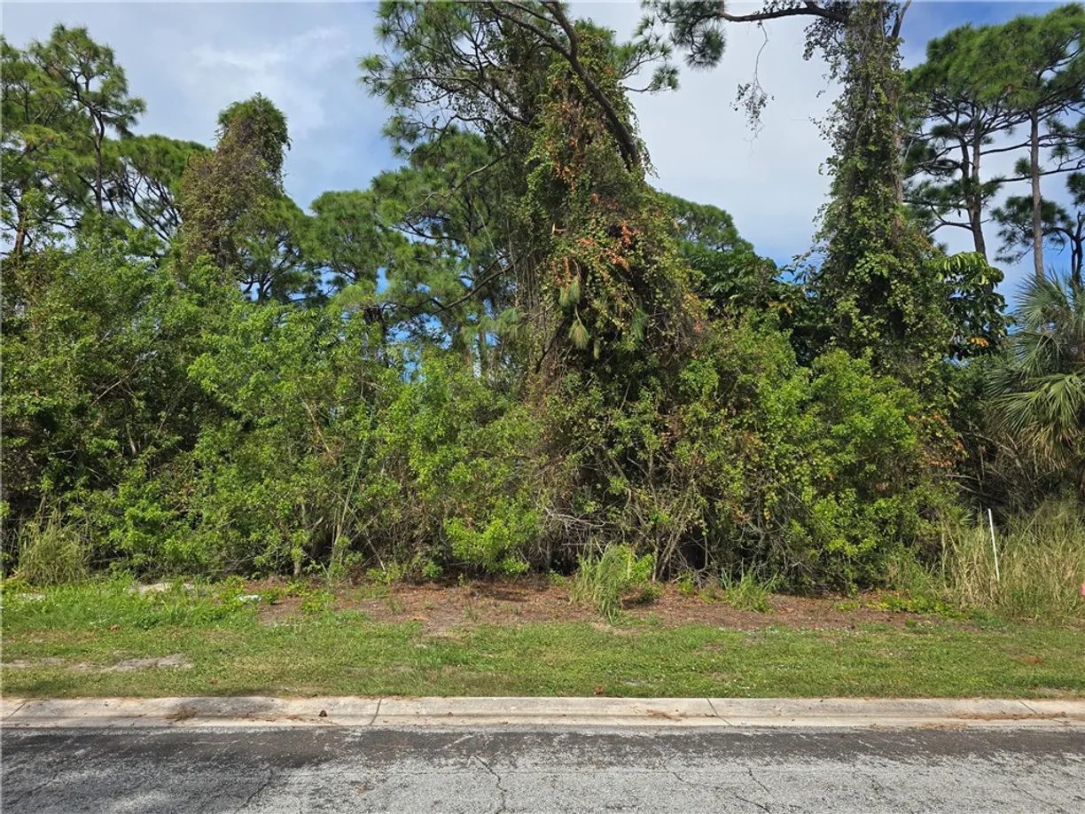 South Florida Real Estate | View 125 Cardinal