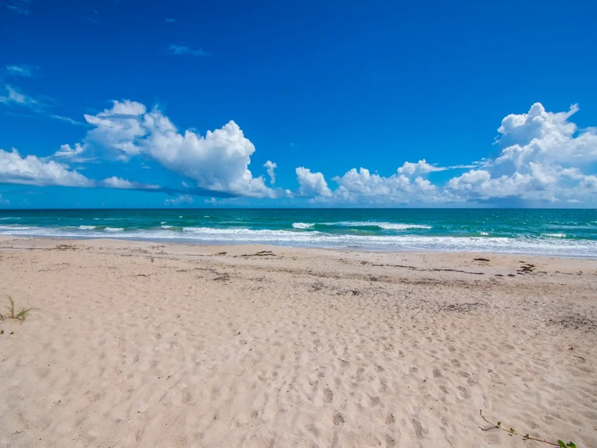 South Florida Real Estate | View 4410 Highway A1A, 307 | Listing
