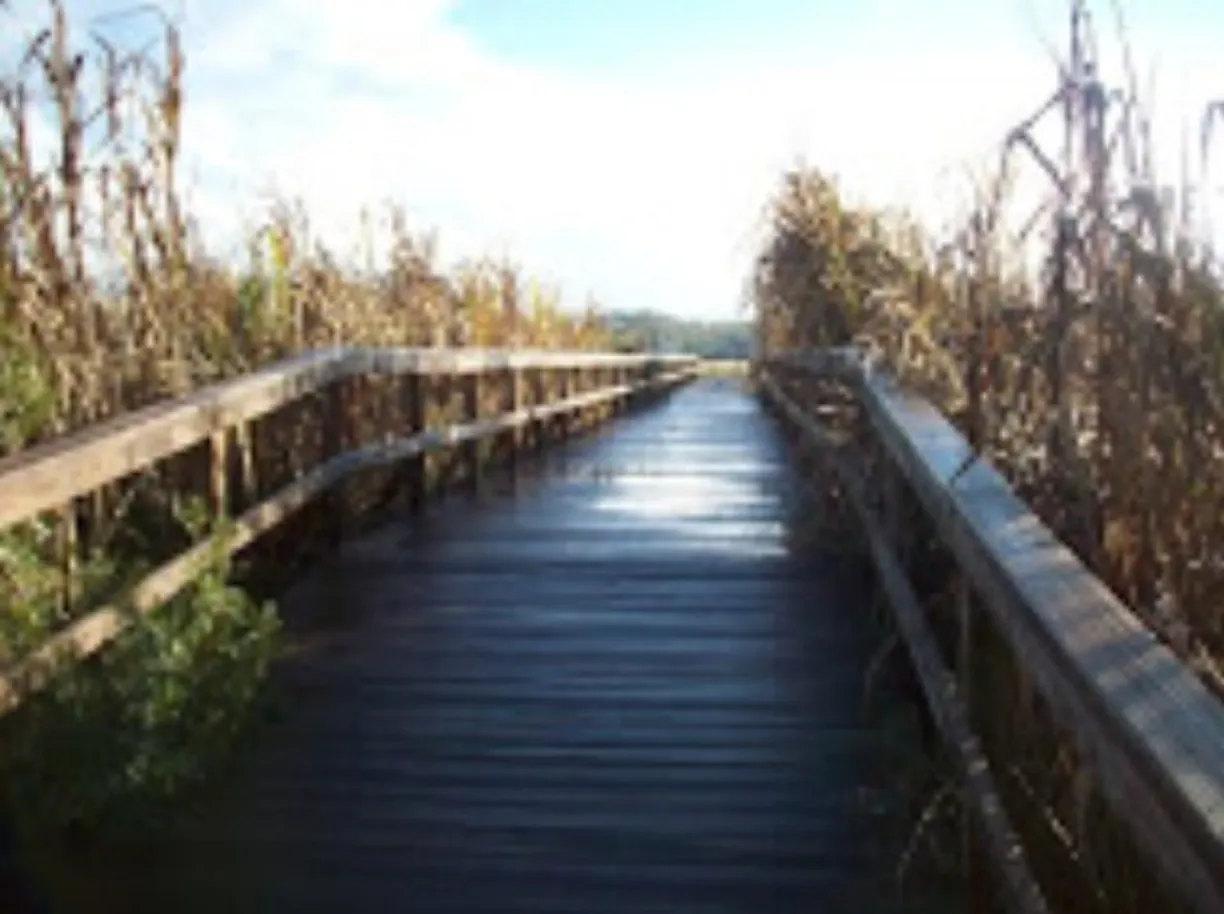 Savannah Real Estate | View 54 Jerico Marsh Road | Listing