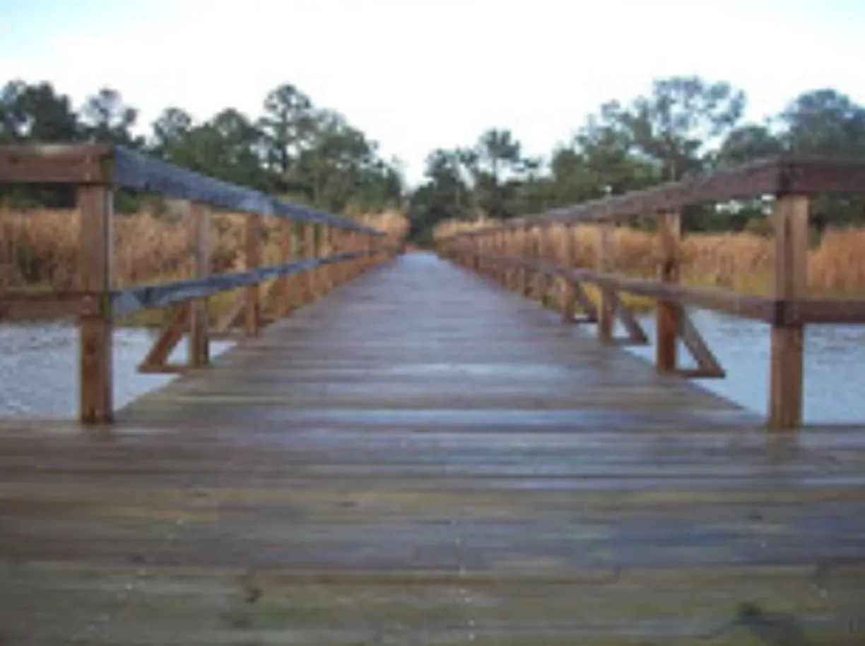 Savannah Real Estate | View 54 Jerico Marsh Road