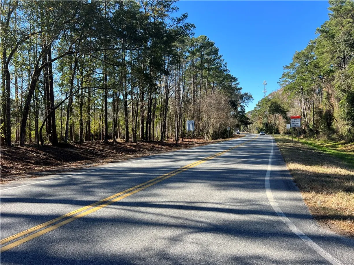 Savannah Real Estate | View 168 Petersville Road