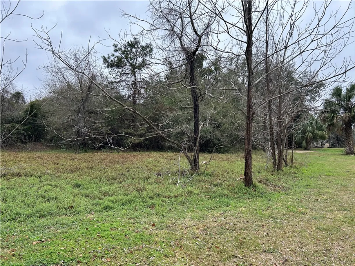 Savannah Real Estate | View 804 Avoca Villa(River Ridge) Road | Listing