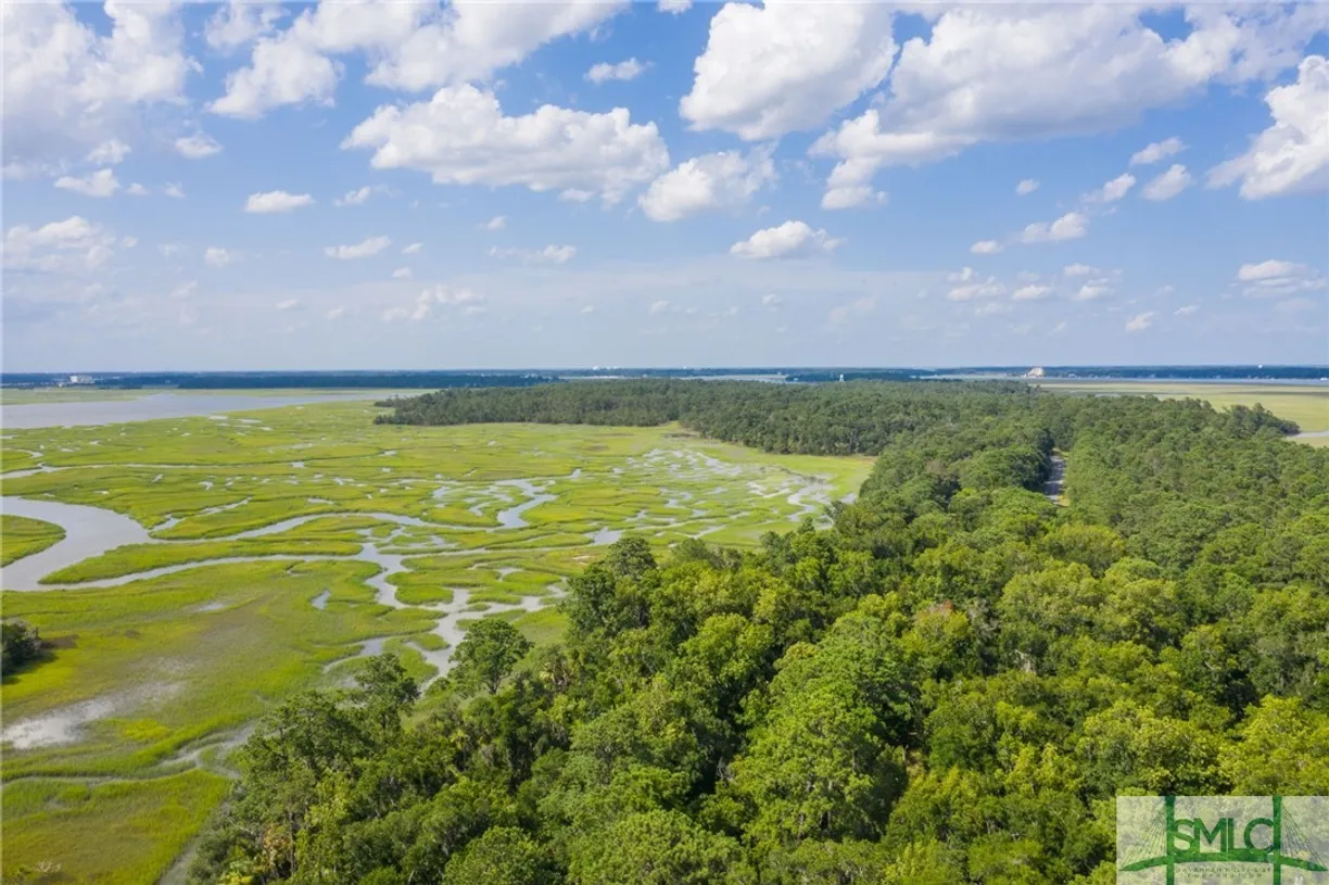 Savannah Real Estate | View 41 Gray Heron Retreat