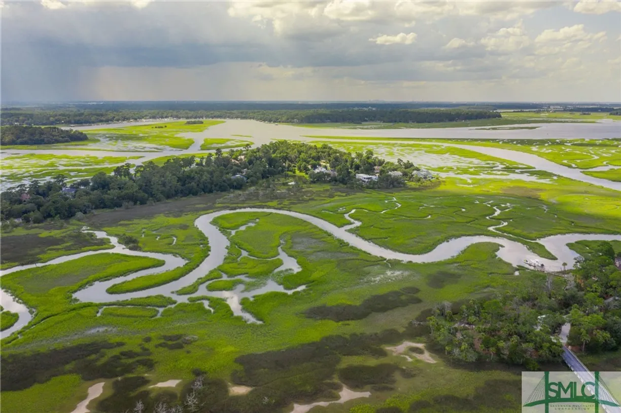Savannah Real Estate | View 41 Gray Heron Retreat | Listing