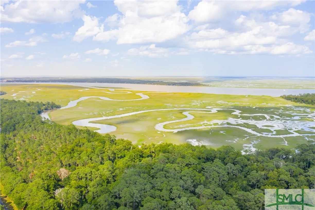 Savannah Real Estate | View 41 Gray Heron Retreat | Listing
