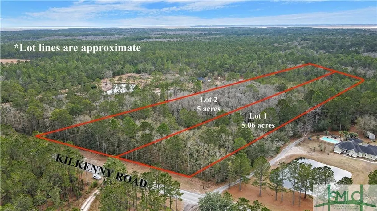 Savannah Real Estate | View 10 Acres Kilkenny Road