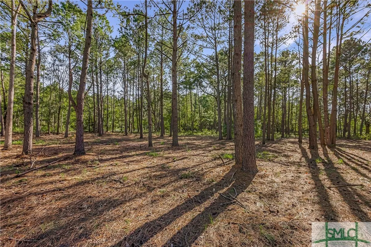 Savannah Real Estate | View 2184 Hunter's Loop