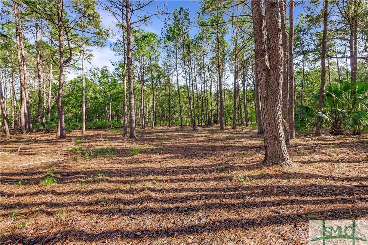 Savannah Real Estate | View 2290 Hunter's Loop Loop