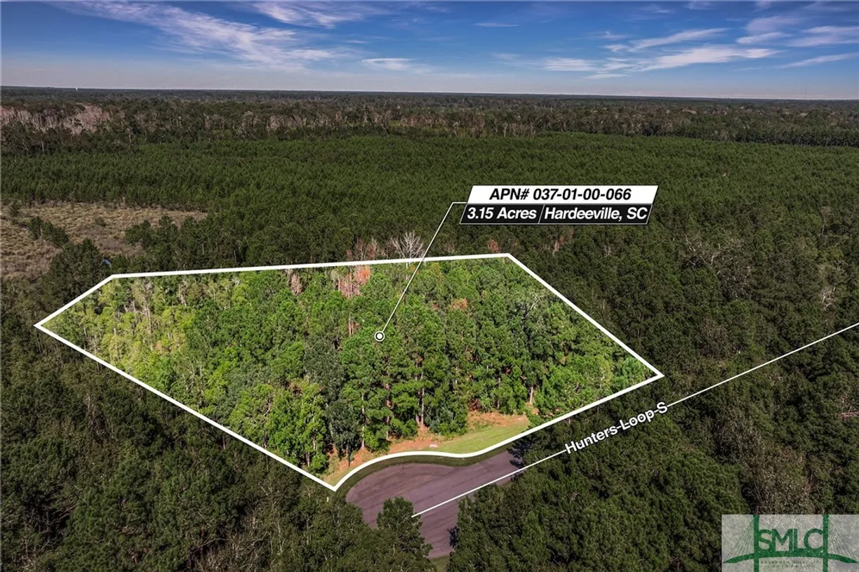 Savannah Real Estate | View 2290 Hunter's Loop Loop | Listing