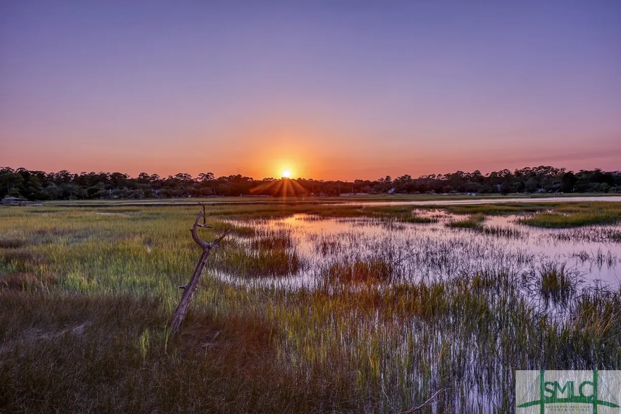 Savannah Real Estate | View 2 Egrets Nest Drive | Listing