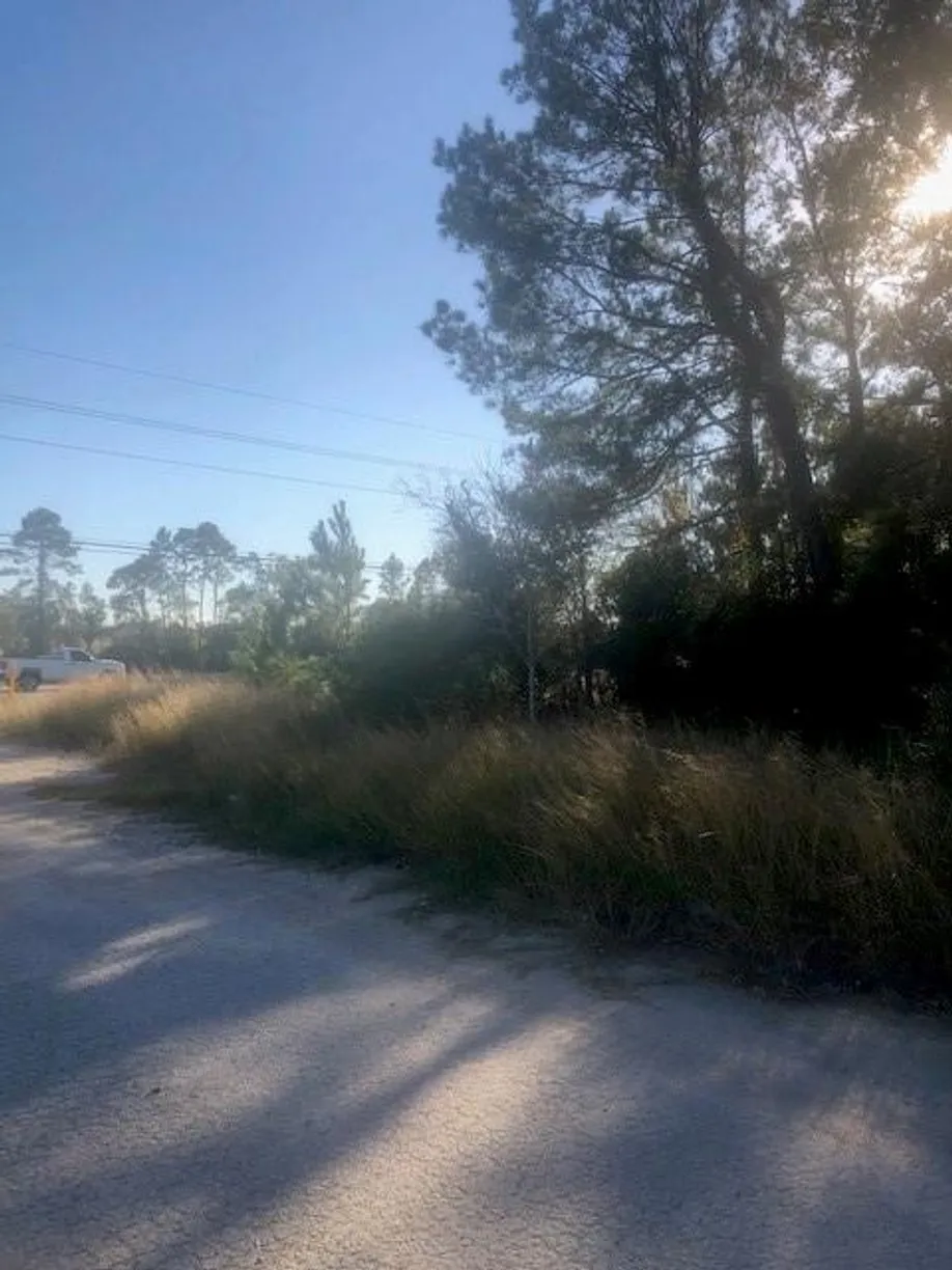 Houston Real Estate | View 0 Atascocita Road | Listing