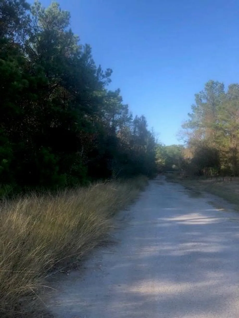 Houston Real Estate | View 0 Atascocita Road | Listing