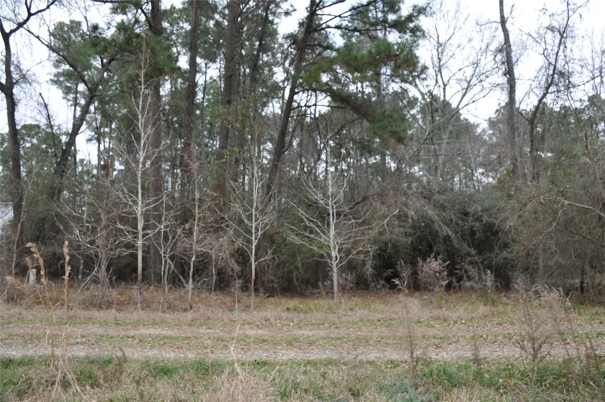 The Woodlands Real Estate | View 0 000 Private Road | Listing