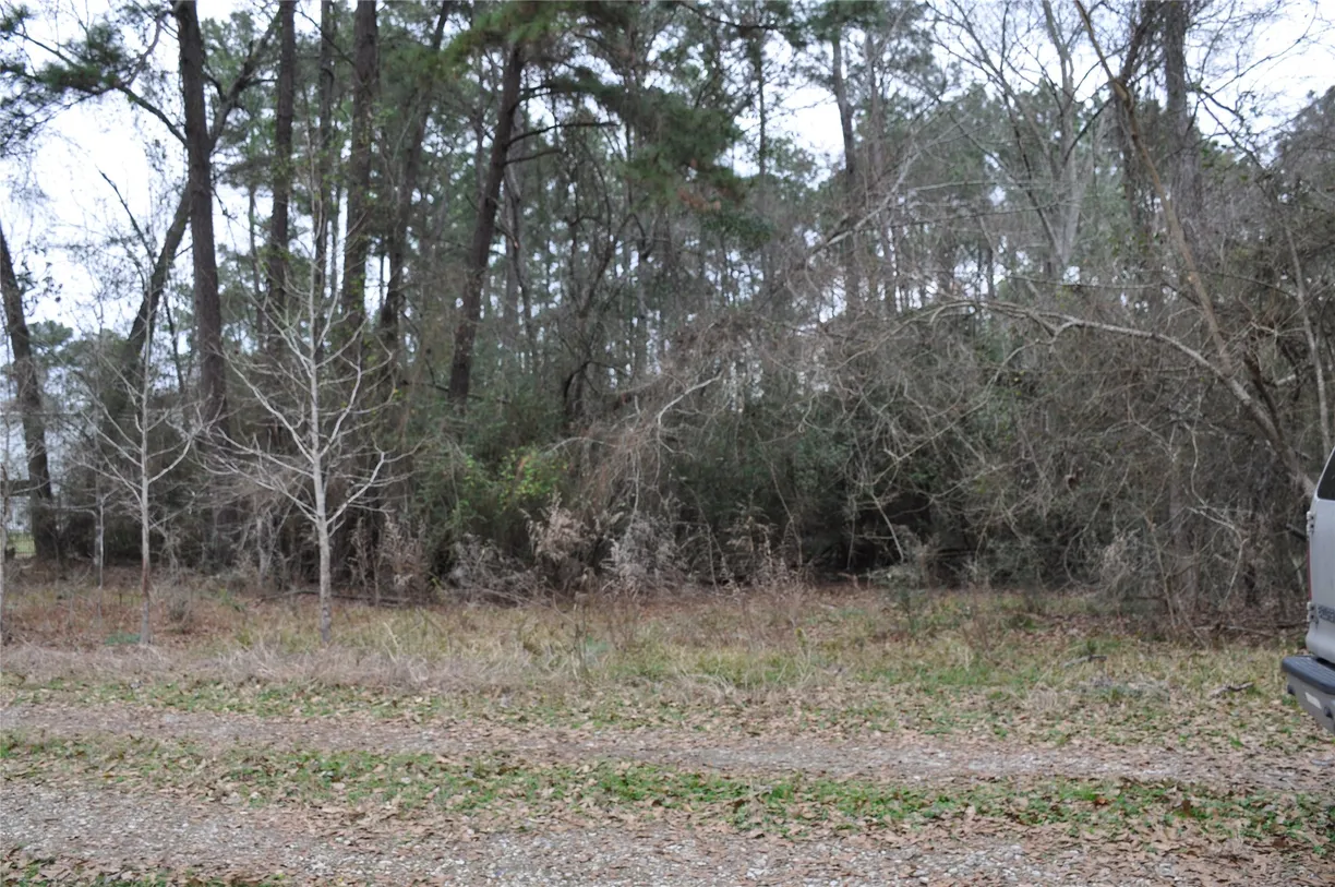 The Woodlands Real Estate | View 0 000 Private Road