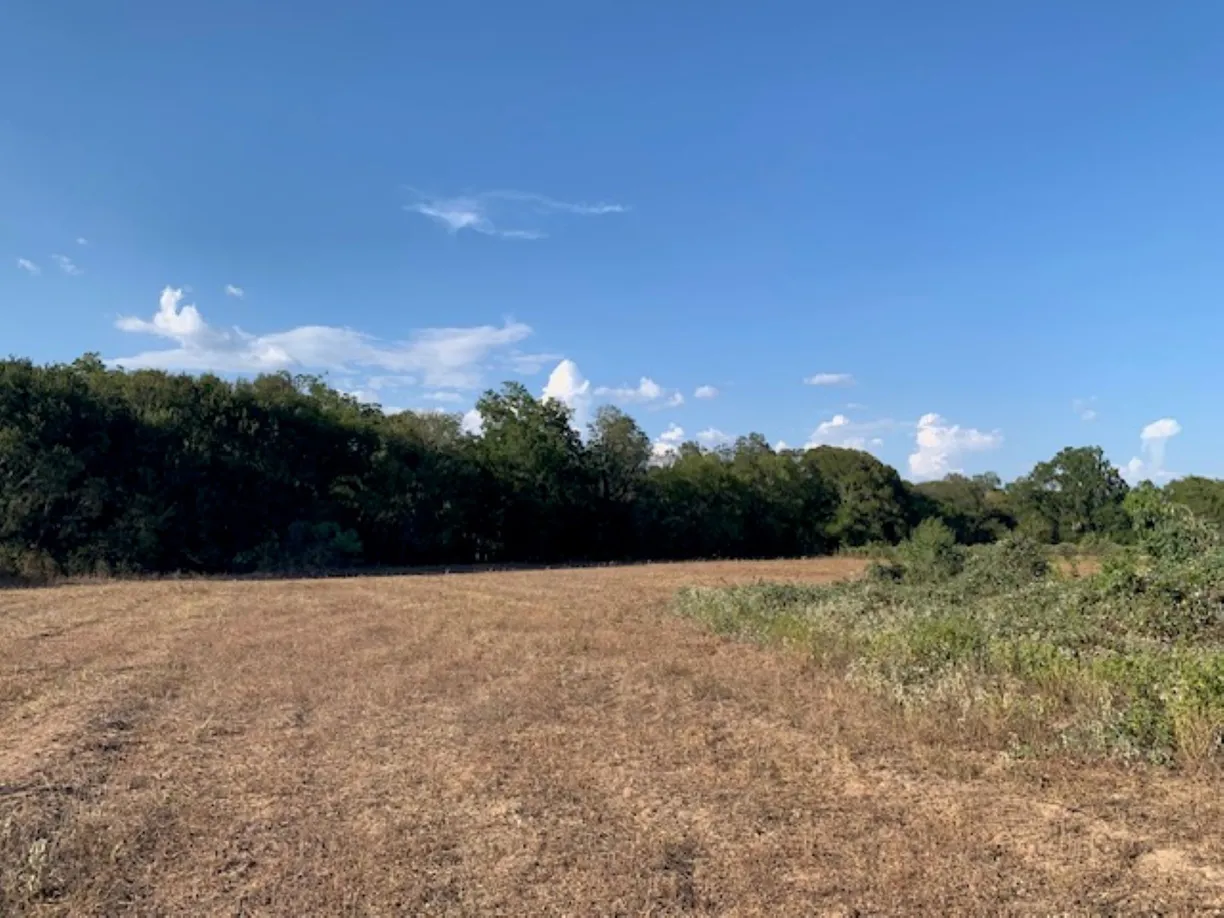 Houston Real Estate | View TBD Mt Zion Road | Listing