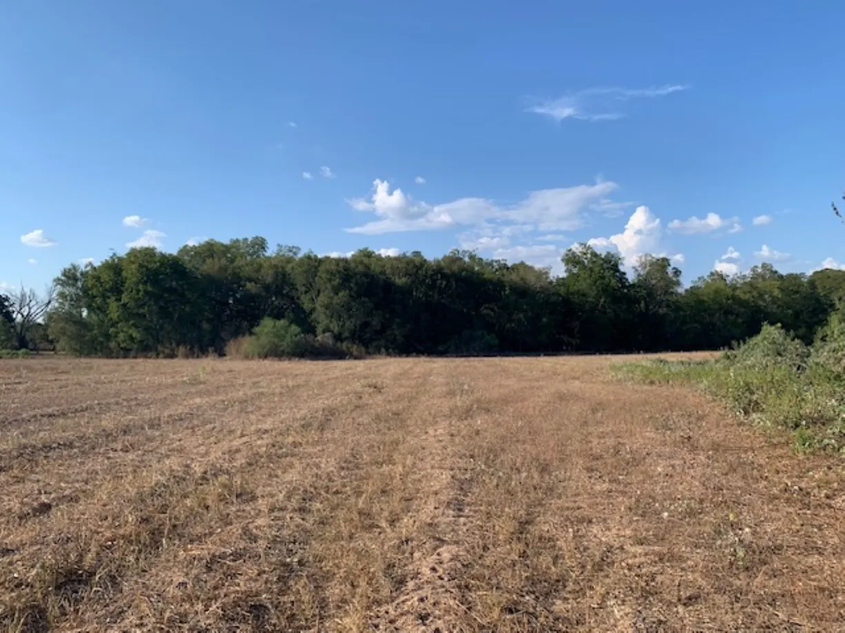 Houston Real Estate | View TBD Mt Zion Road