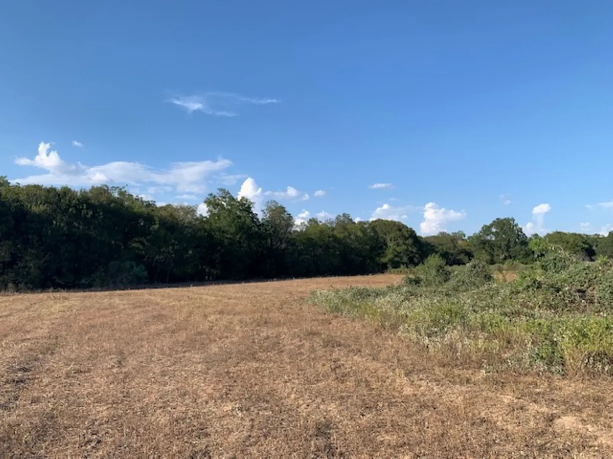 Houston Real Estate | View TBD Mt Zion Road | Listing
