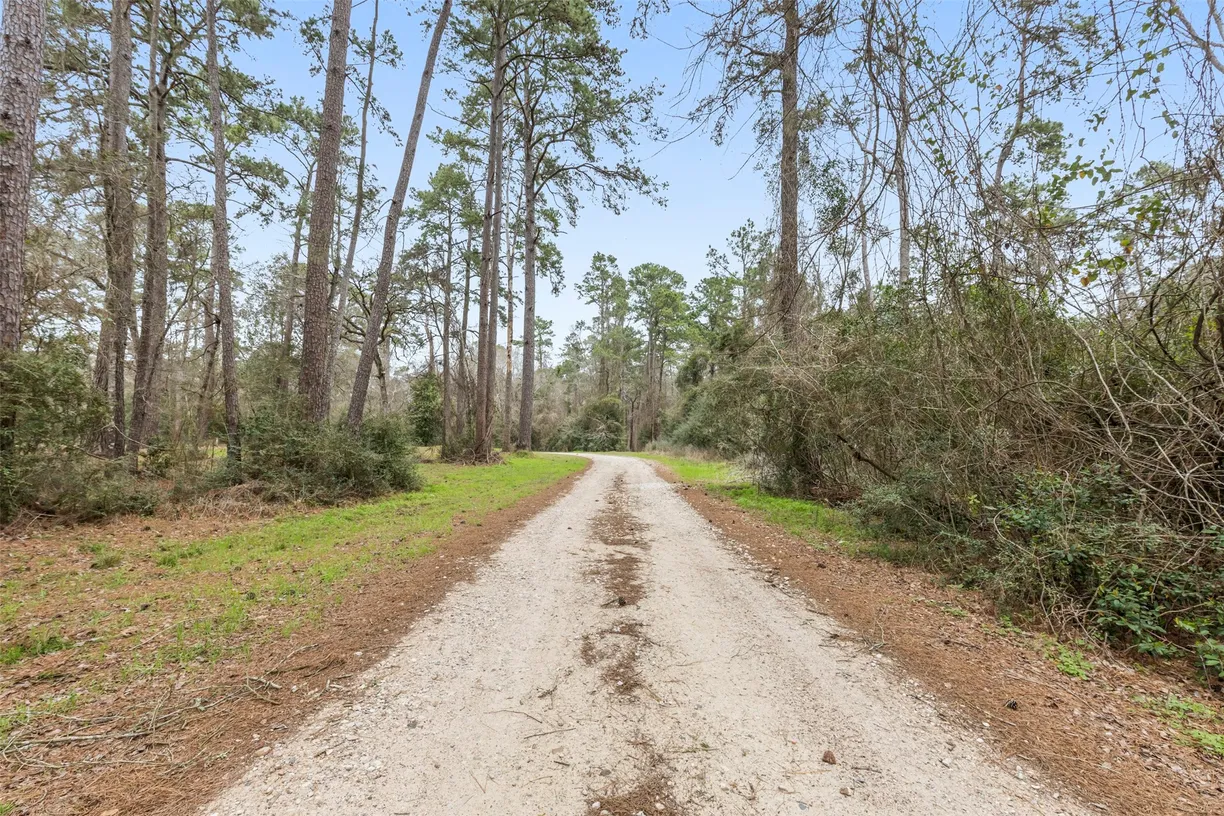 Houston Real Estate | View 23515 CARDINAL DR | Listing