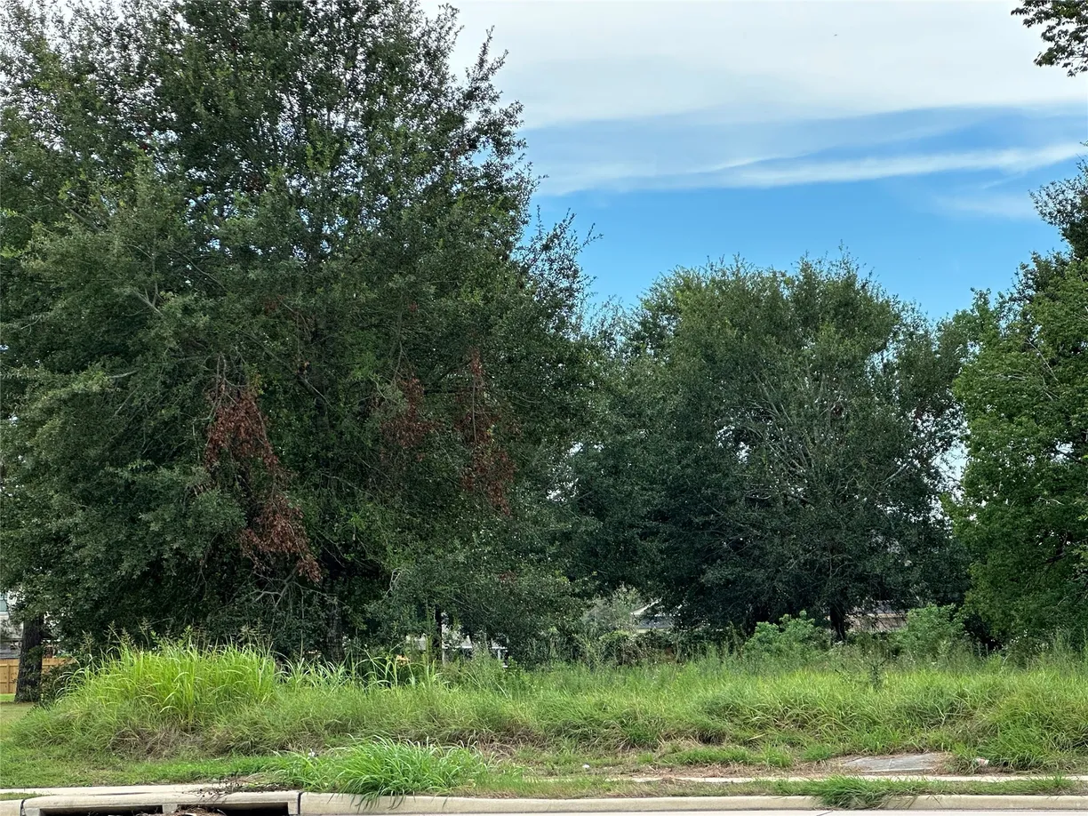 Houston Real Estate | View 0 Fuqua Street | Listing