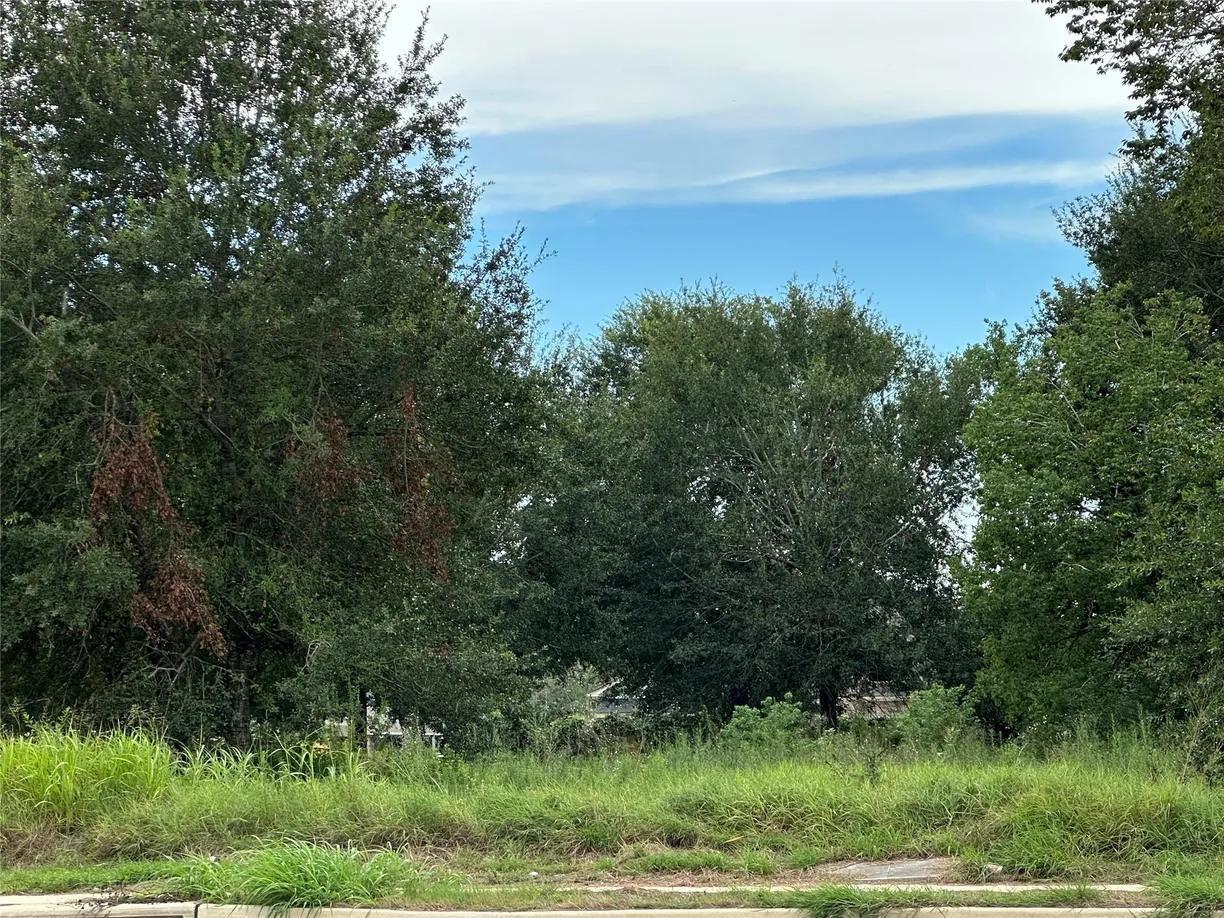 Houston Real Estate | View 0 Fuqua Street