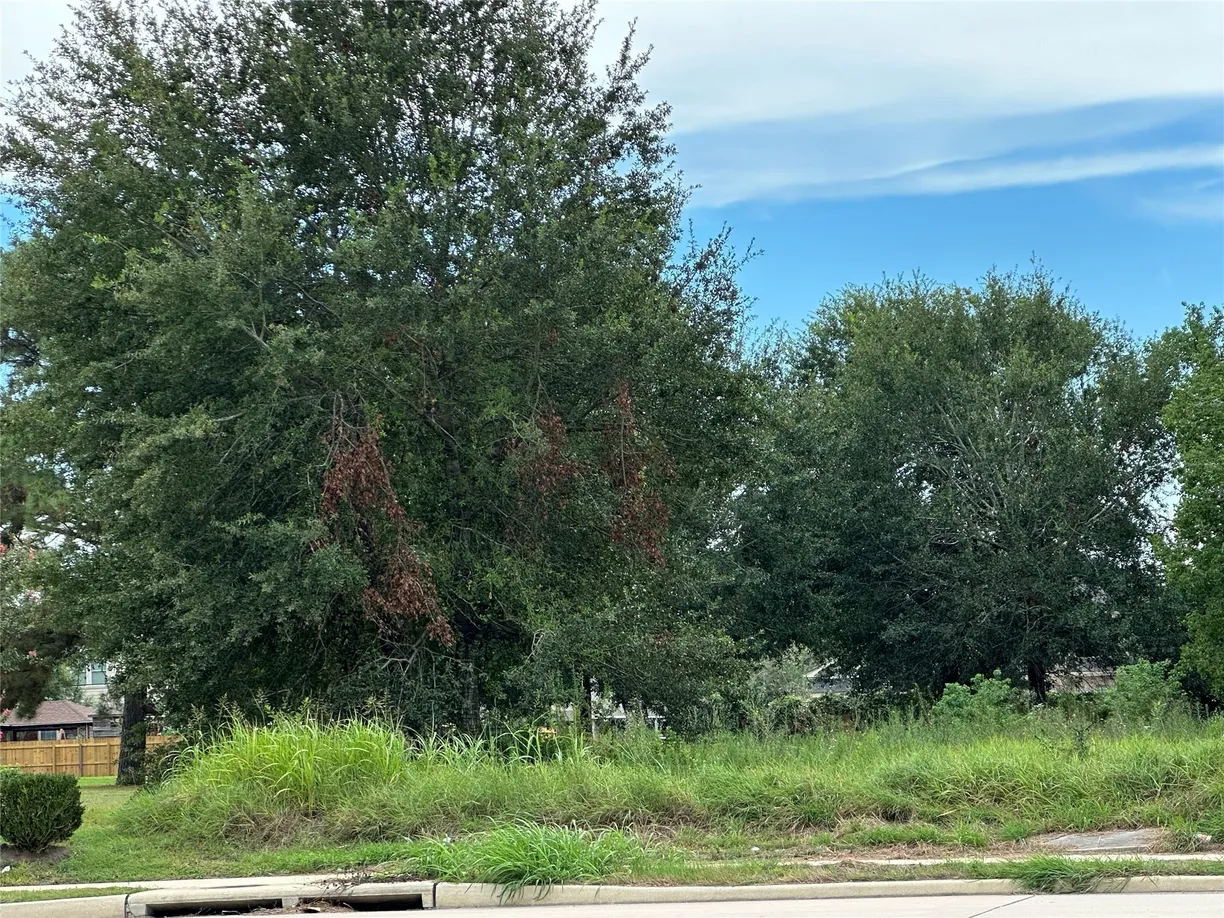 Houston Real Estate | View 0 Fuqua Street | Listing