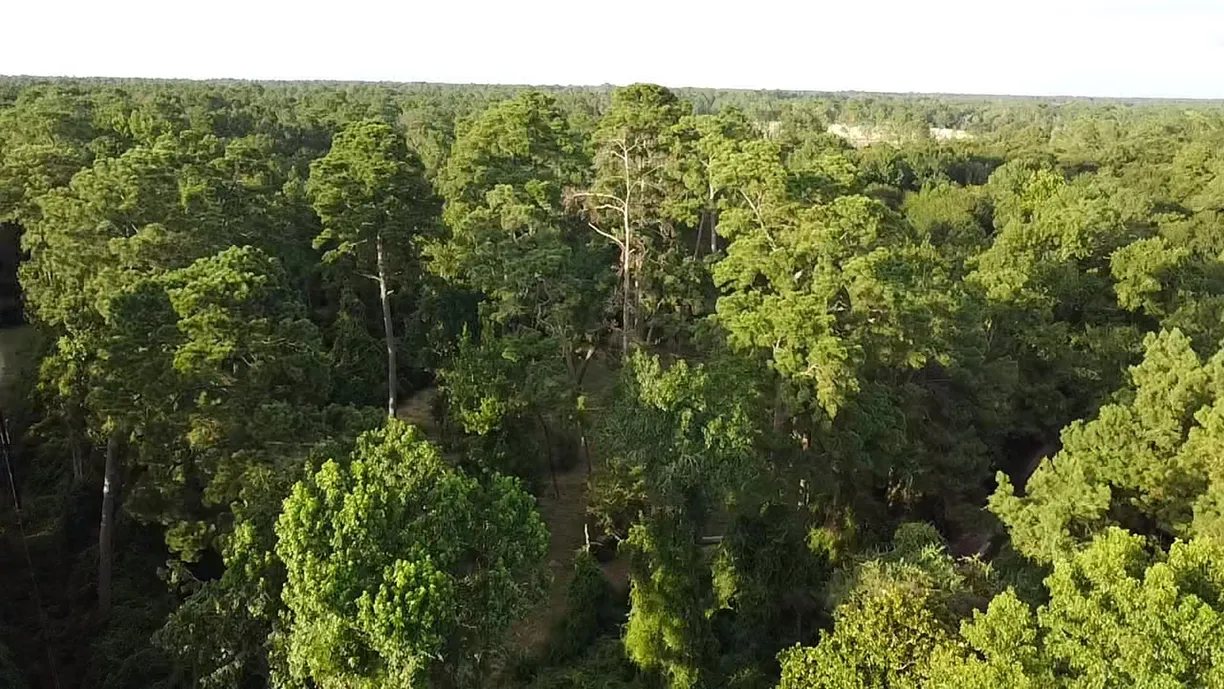 Houston Real Estate | View 0 Prop ID 101208 | Listing