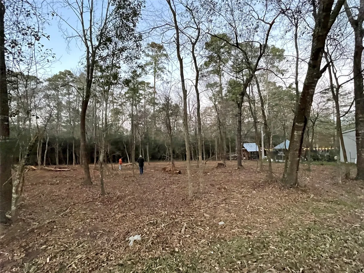 Houston Suburbs Real Estate | View 0 Lone Shadow | Listing