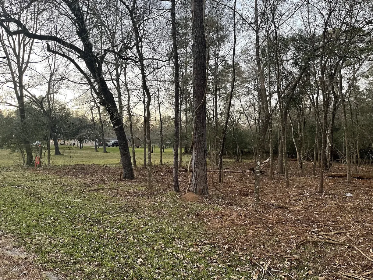 Houston Suburbs Real Estate | View 0 Lone Shadow