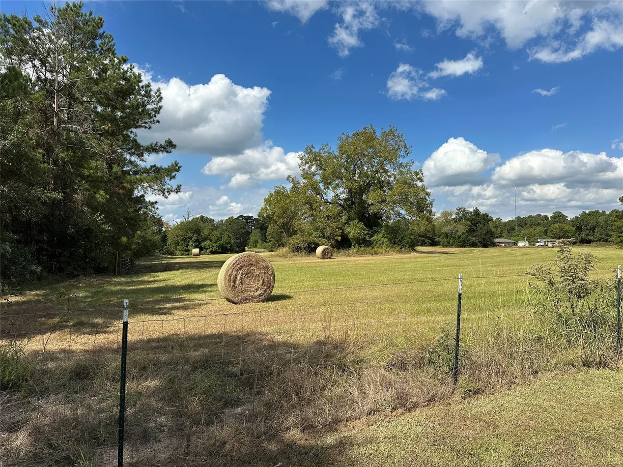 11 ac W Danville Rd, Willis, TX 77378 Property for sale