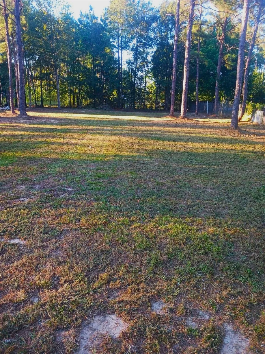 Houston Suburbs Real Estate | View 601 County Road 3479a