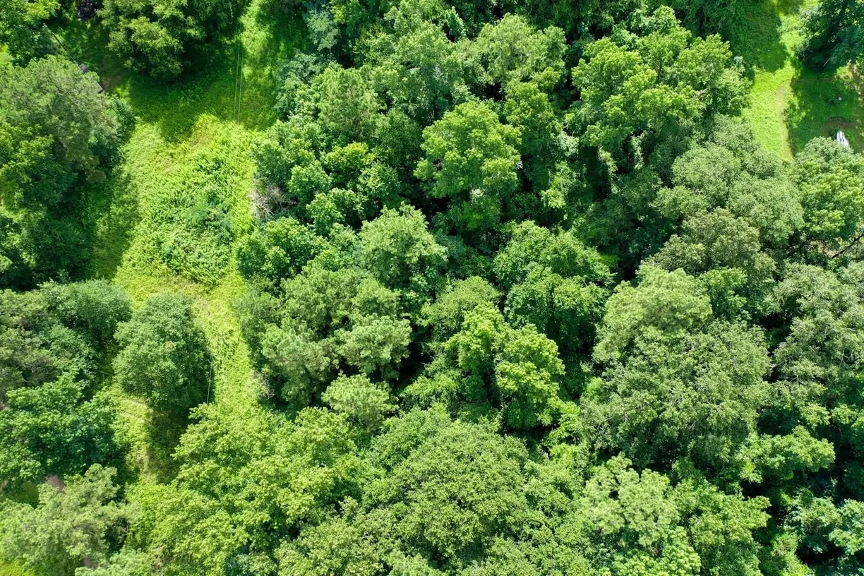 The Woodlands Real Estate | View TBD Beeson Road