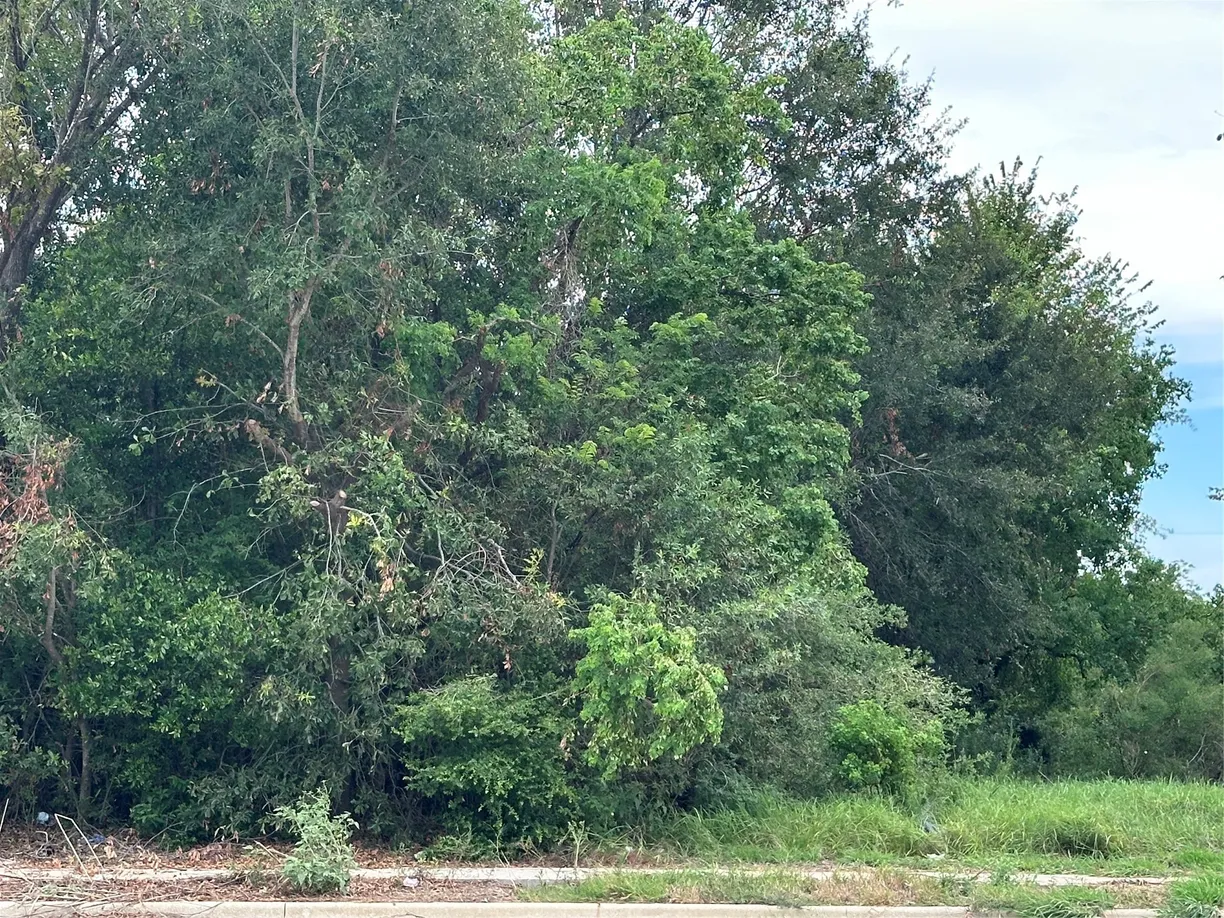 Houston Real Estate | View 02 Fuqua Street