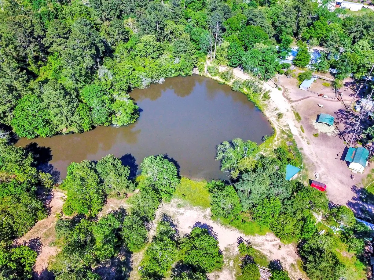 Houston Real Estate | View 19830 Turtle Dove Lane