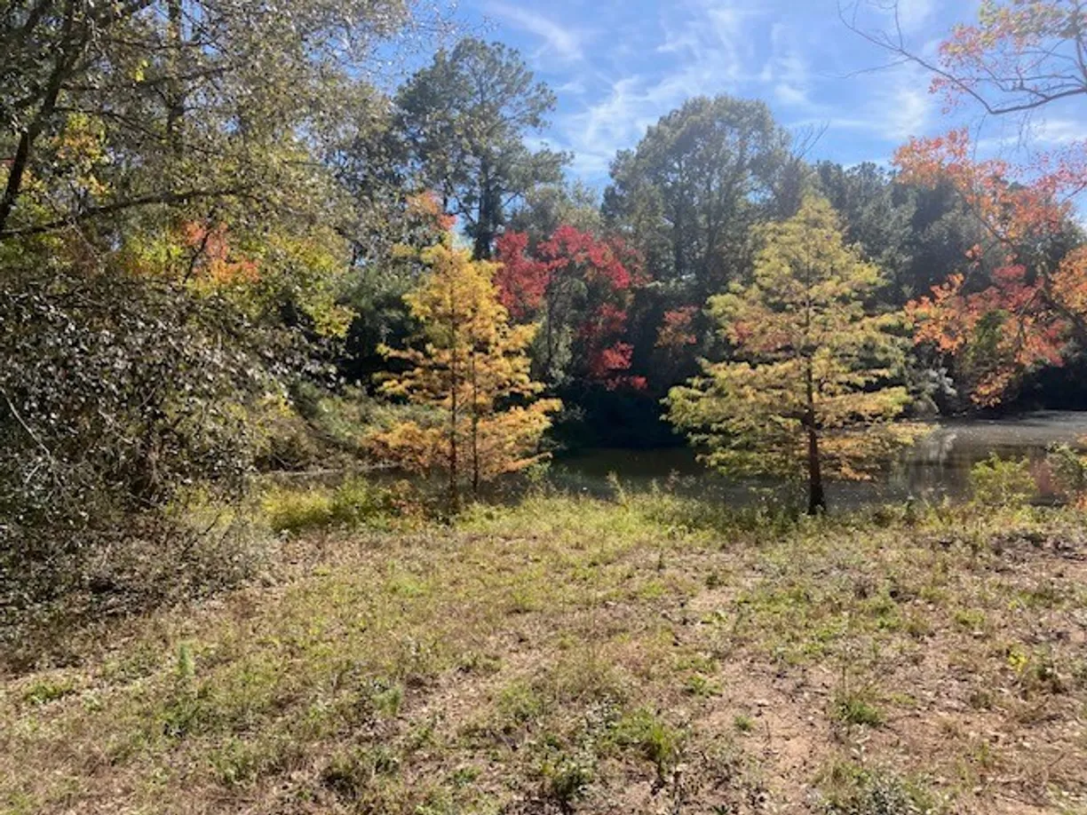 Houston Suburbs Real Estate | View TBD County Road 21681 East off 223 | Listing