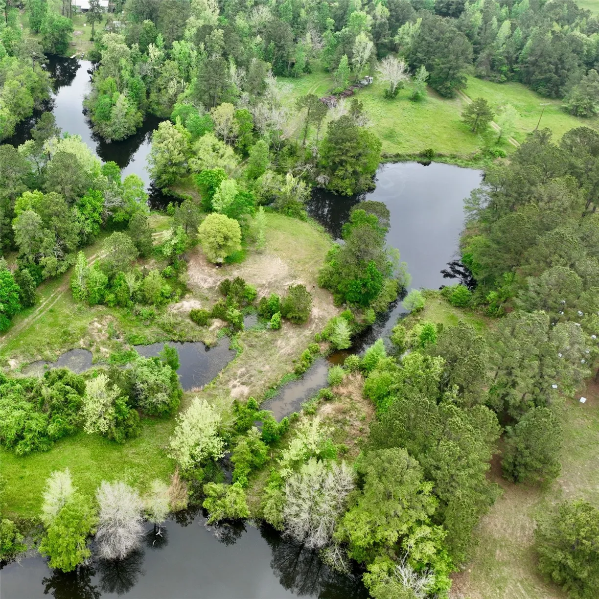 Houston Suburbs Real Estate | View TBD County Road 21681 East off 223