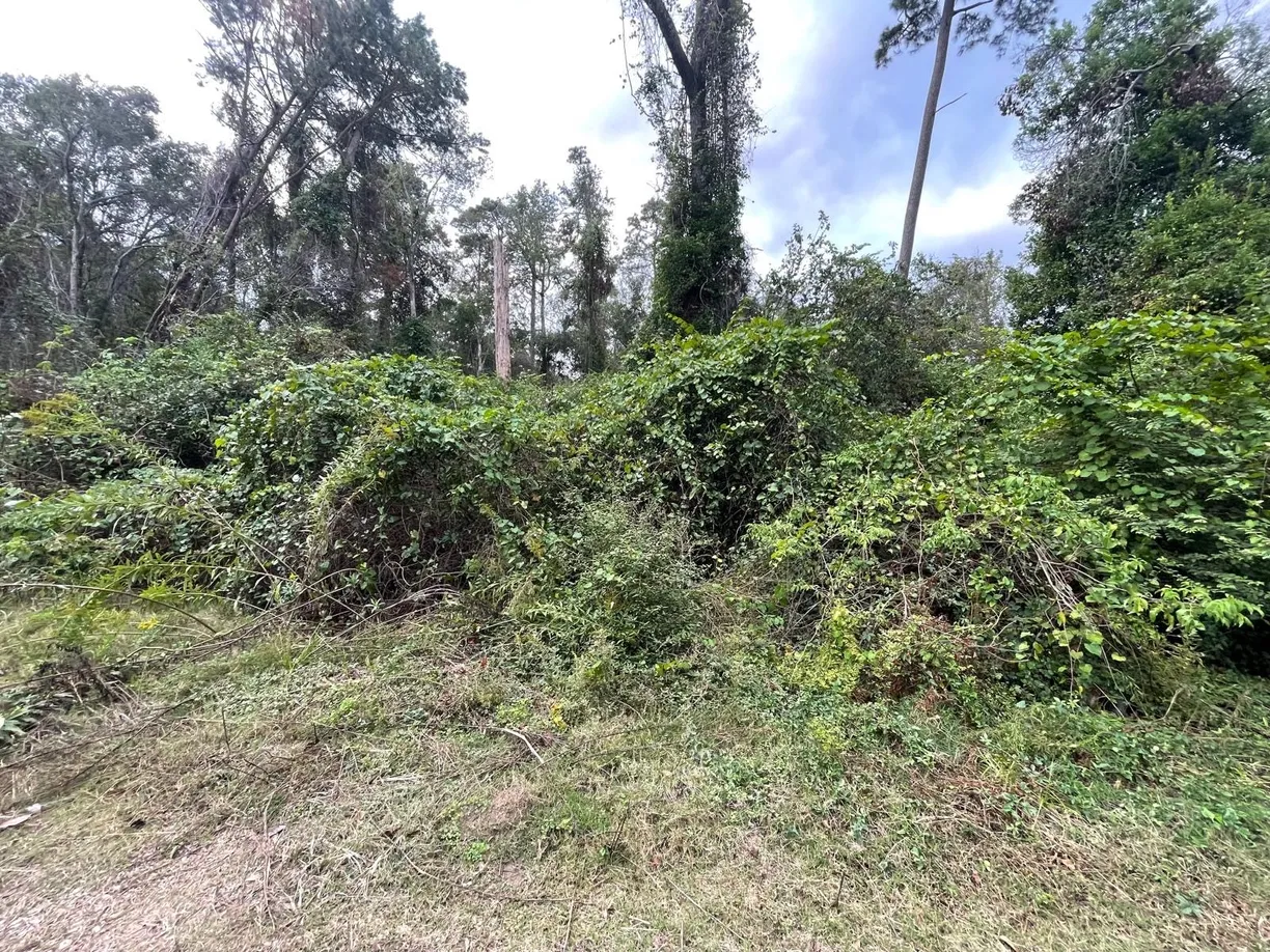 Houston Real Estate | View 0 Elkfield Lane | Listing