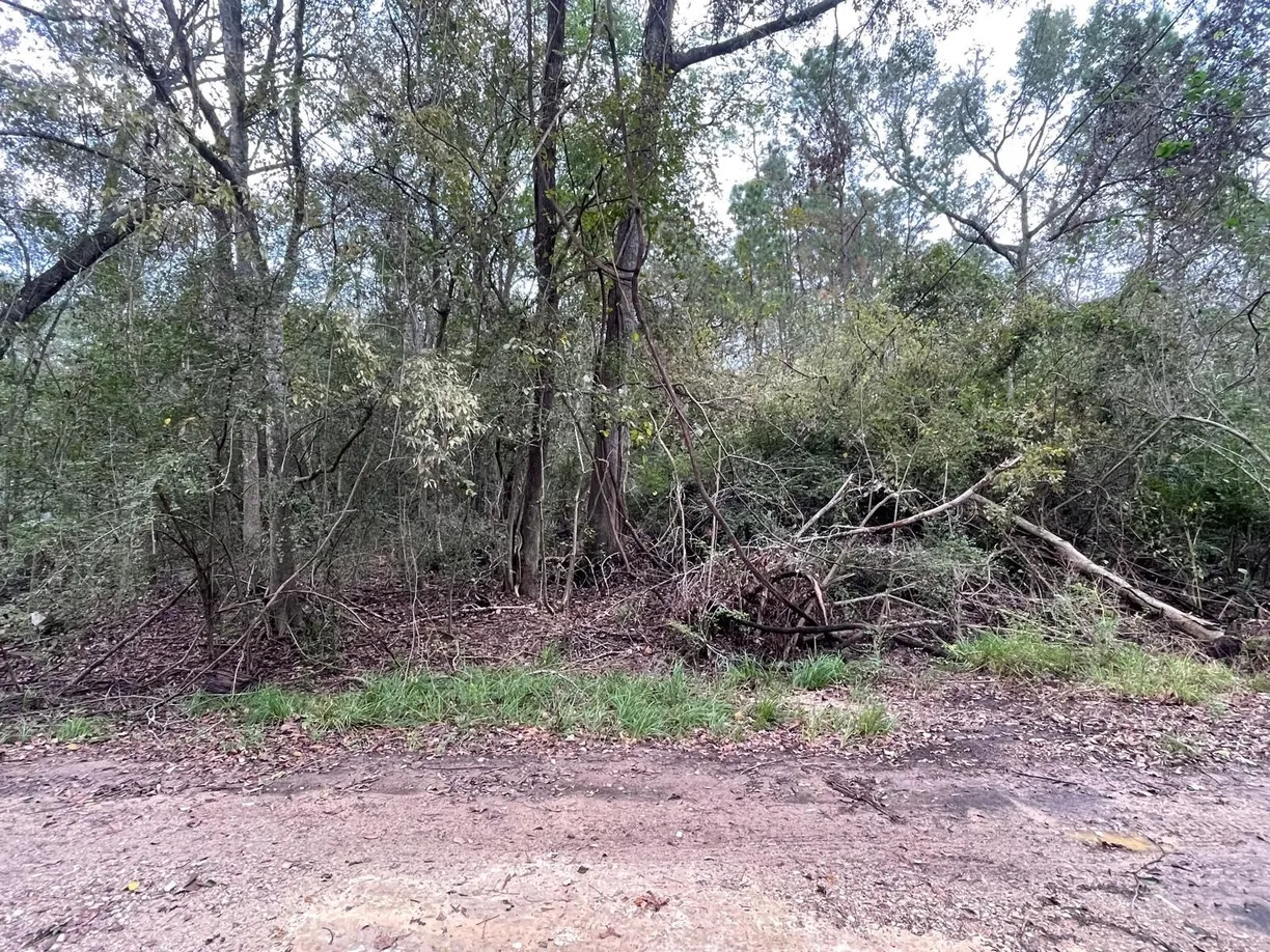 Houston Real Estate | View 0 Elkfield Lane