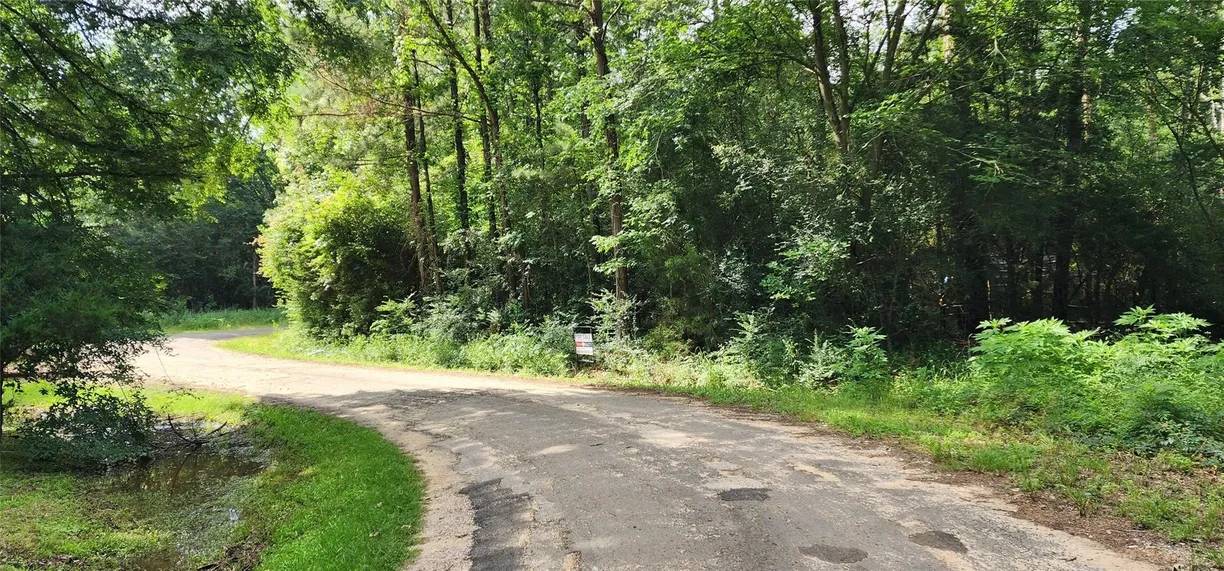The Woodlands Real Estate | View 000 Pigeon Drive | Listing