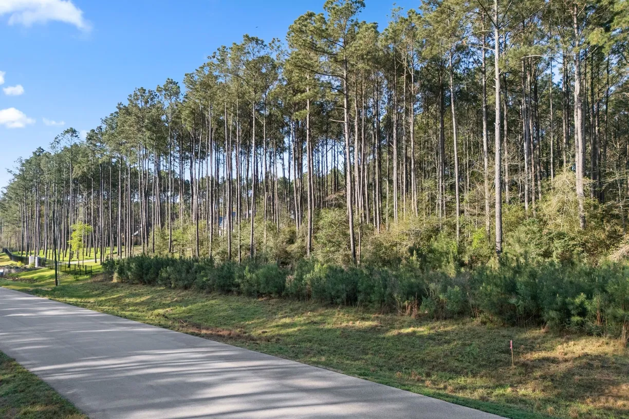 The Woodlands Real Estate | View TBD Lonestar Road | Listing