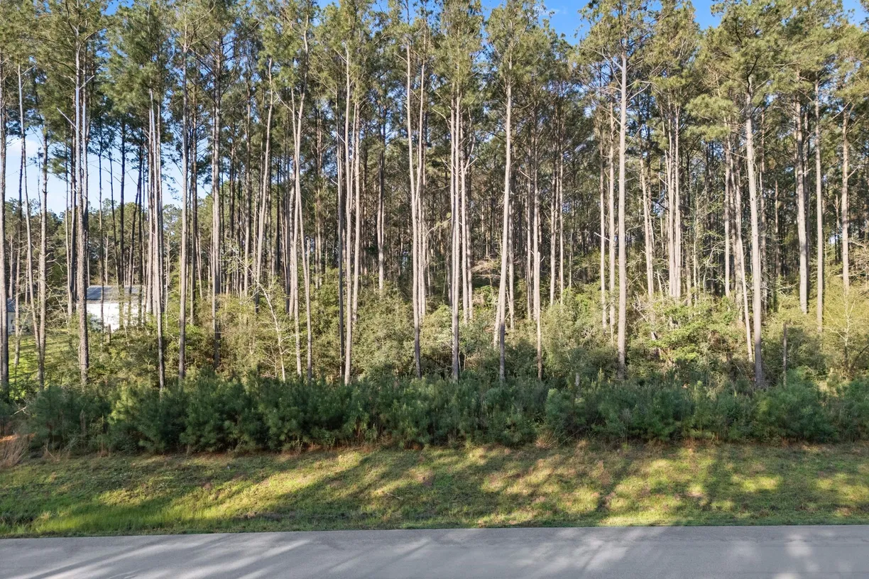 The Woodlands Real Estate | View TBD Lonestar Road | Listing