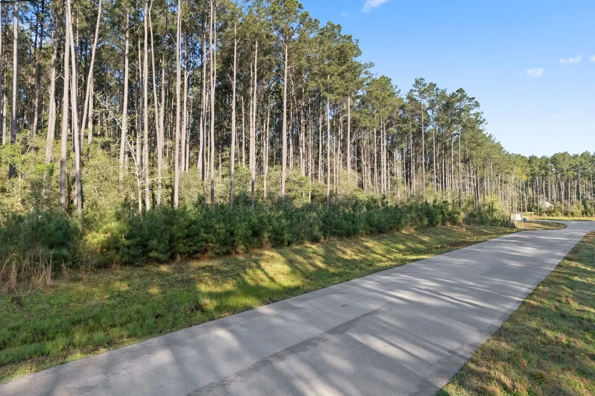 The Woodlands Real Estate | View TBD Lonestar Road