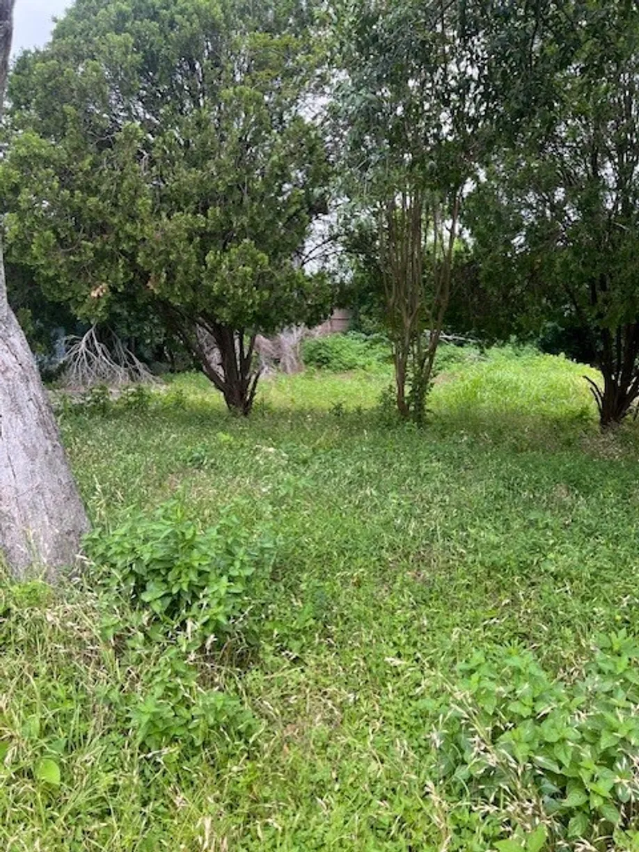 Houston Real Estate | View 3922 Pickfair Street | Listing