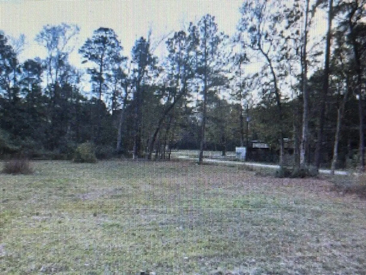 Houston Suburbs Real Estate | View 93 County Road 3478 | Listing
