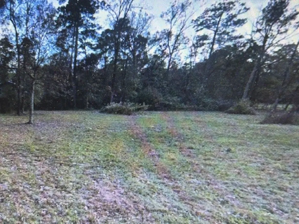 Houston Suburbs Real Estate | View 93 County Road 3478